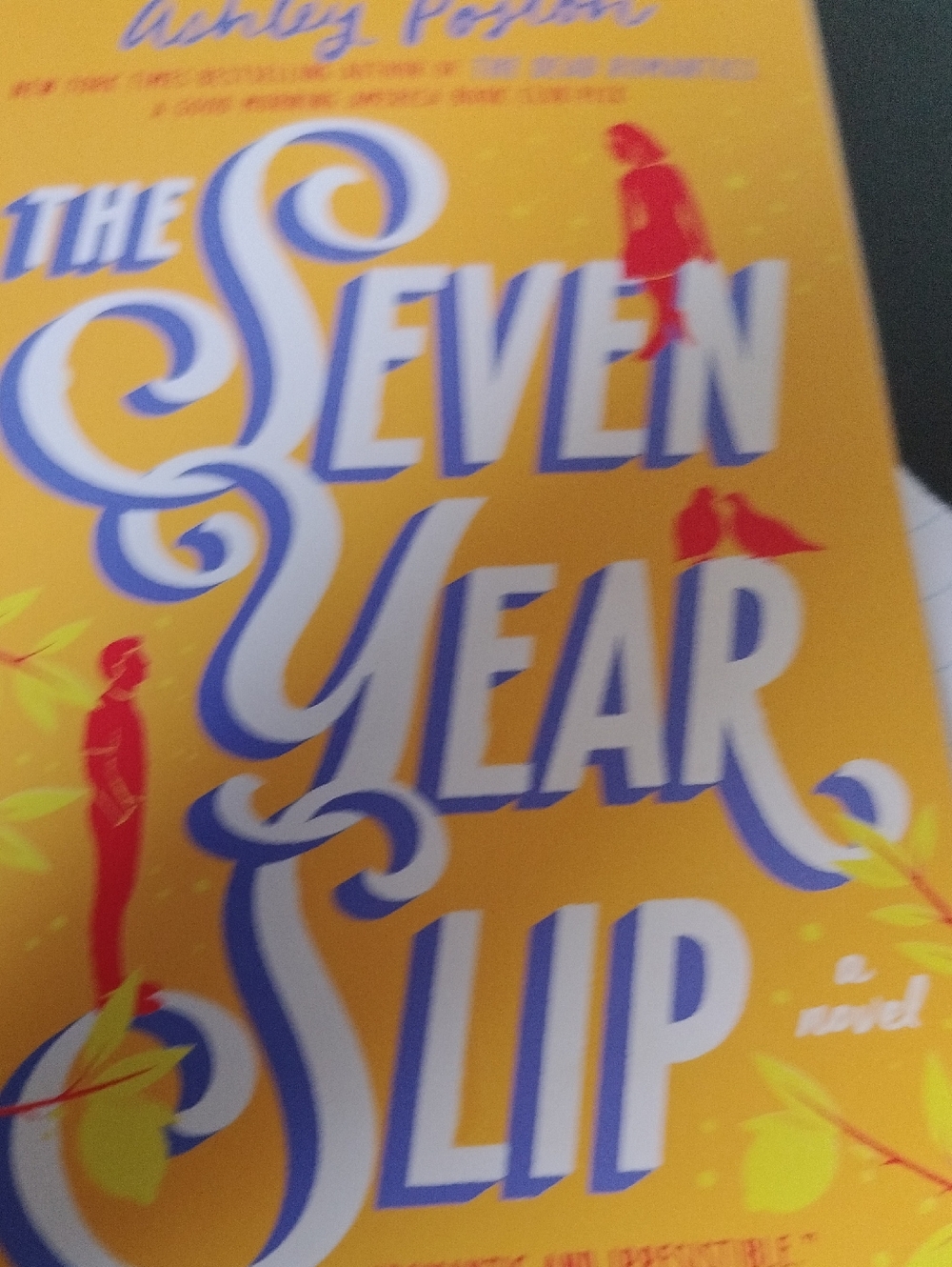 The Seven Year Slip By Ashley Poston